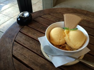 Yeah my mango sorbet looks delicious, but I'm trying to show you that black thing in the back.