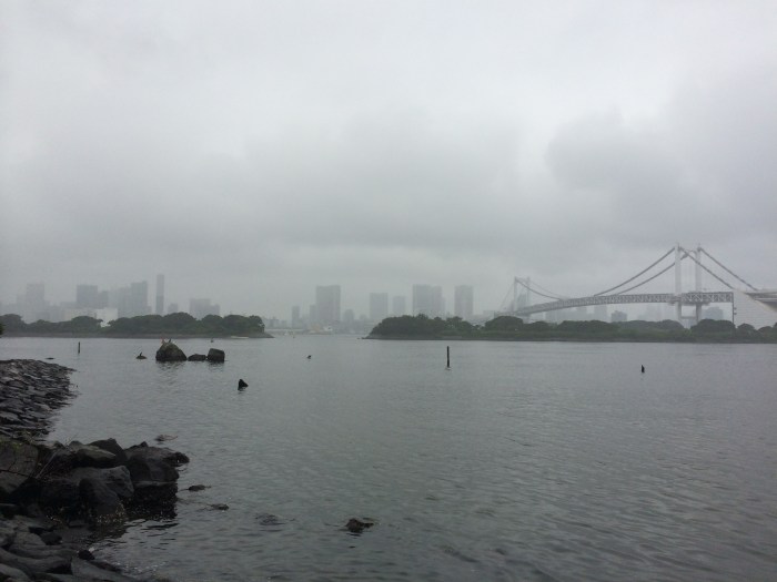 The view today of Tokyo and Tokyo Bay from Odaiba's beach.