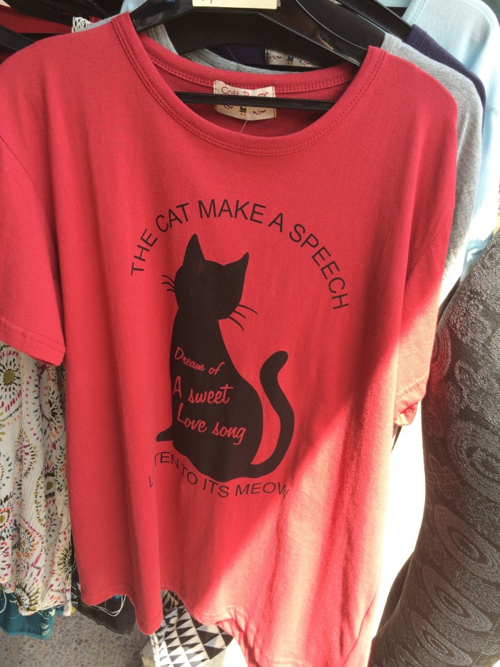 The cat make a speech. Listen to its meow. 